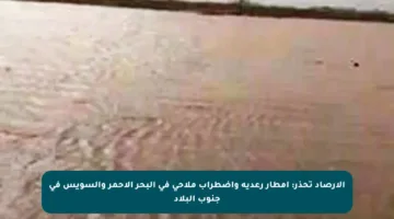 الأرصاد تحذر: أمطار رعدية واضطراب ملاحي في البحر الأحمر والسويس في جنوب البلاد